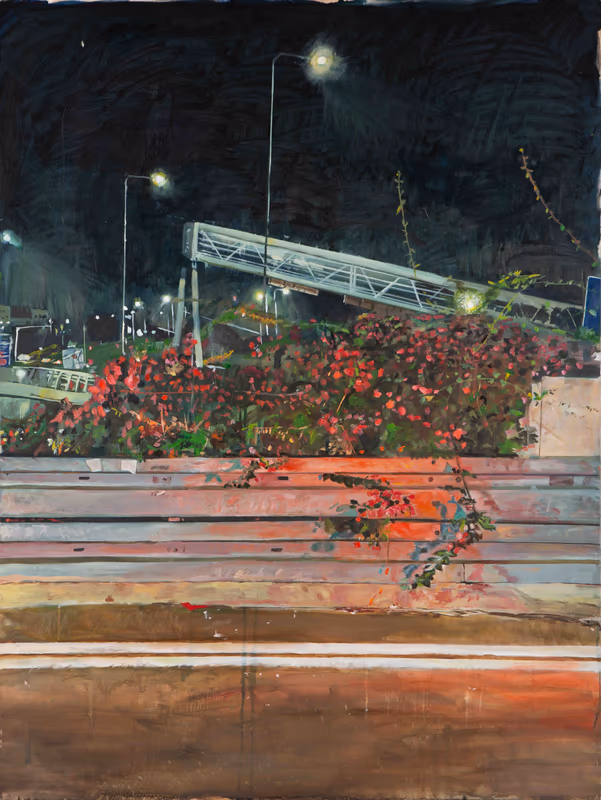 Bougainvillea on a red light